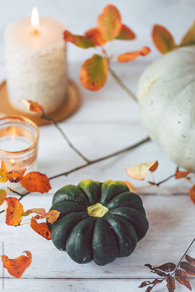 Autumnal still life featuring pumpkin