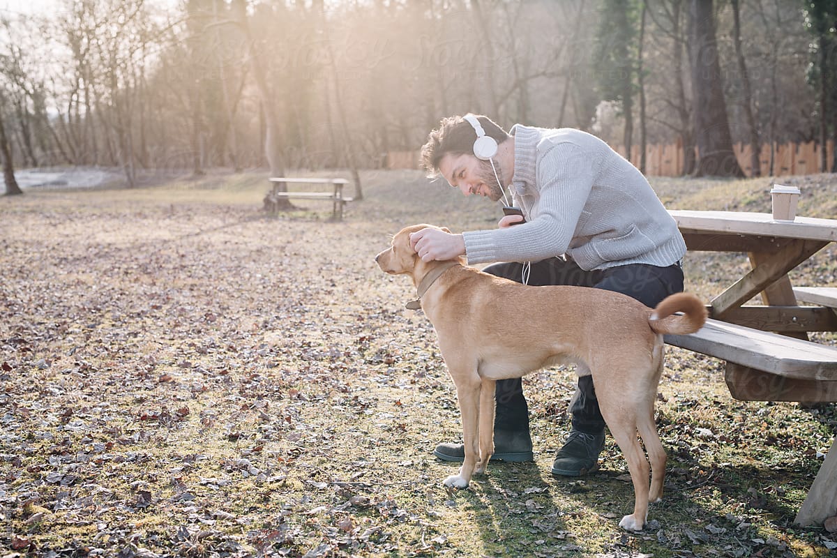 Man in headphones stroking brown dog in park