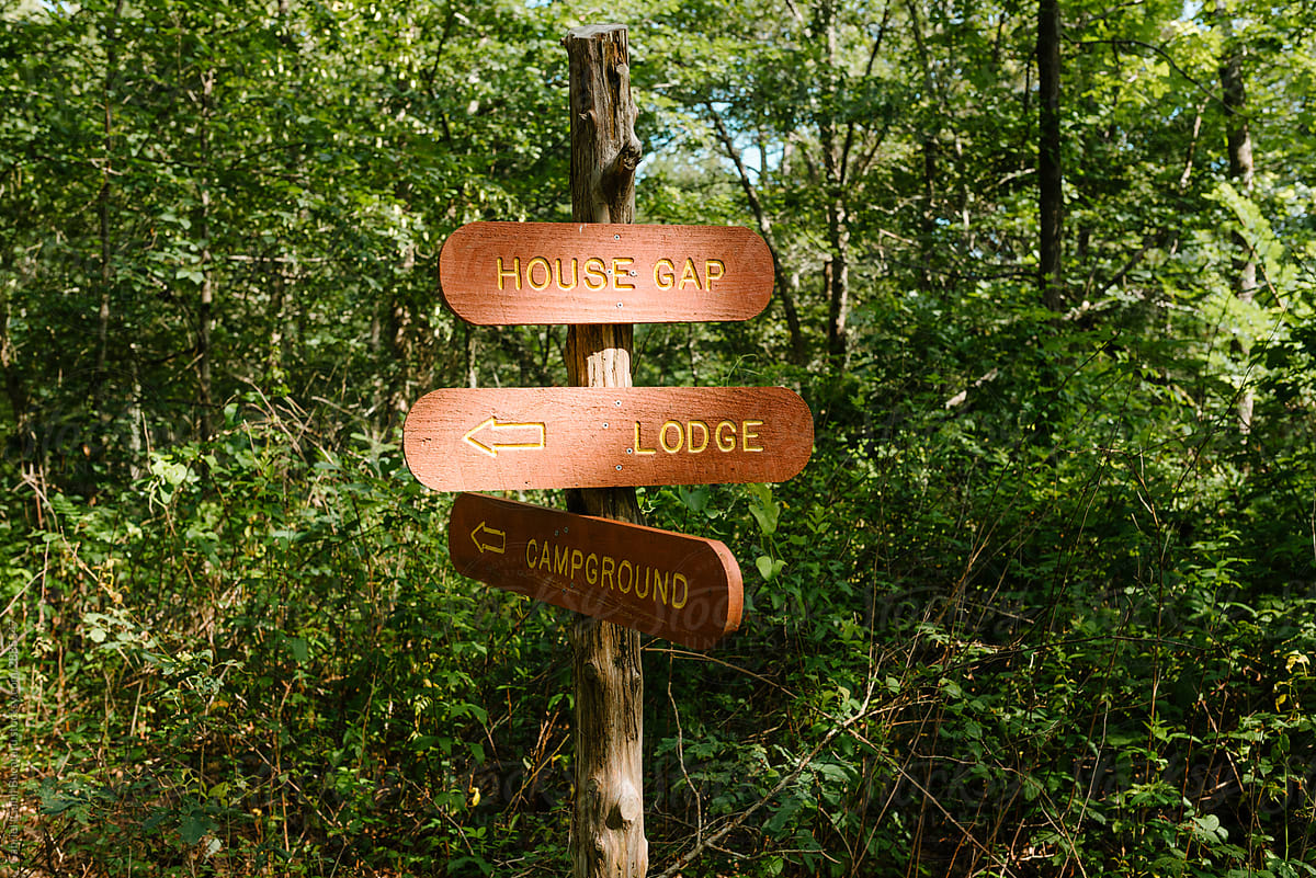 Direction sign on a forest trail
