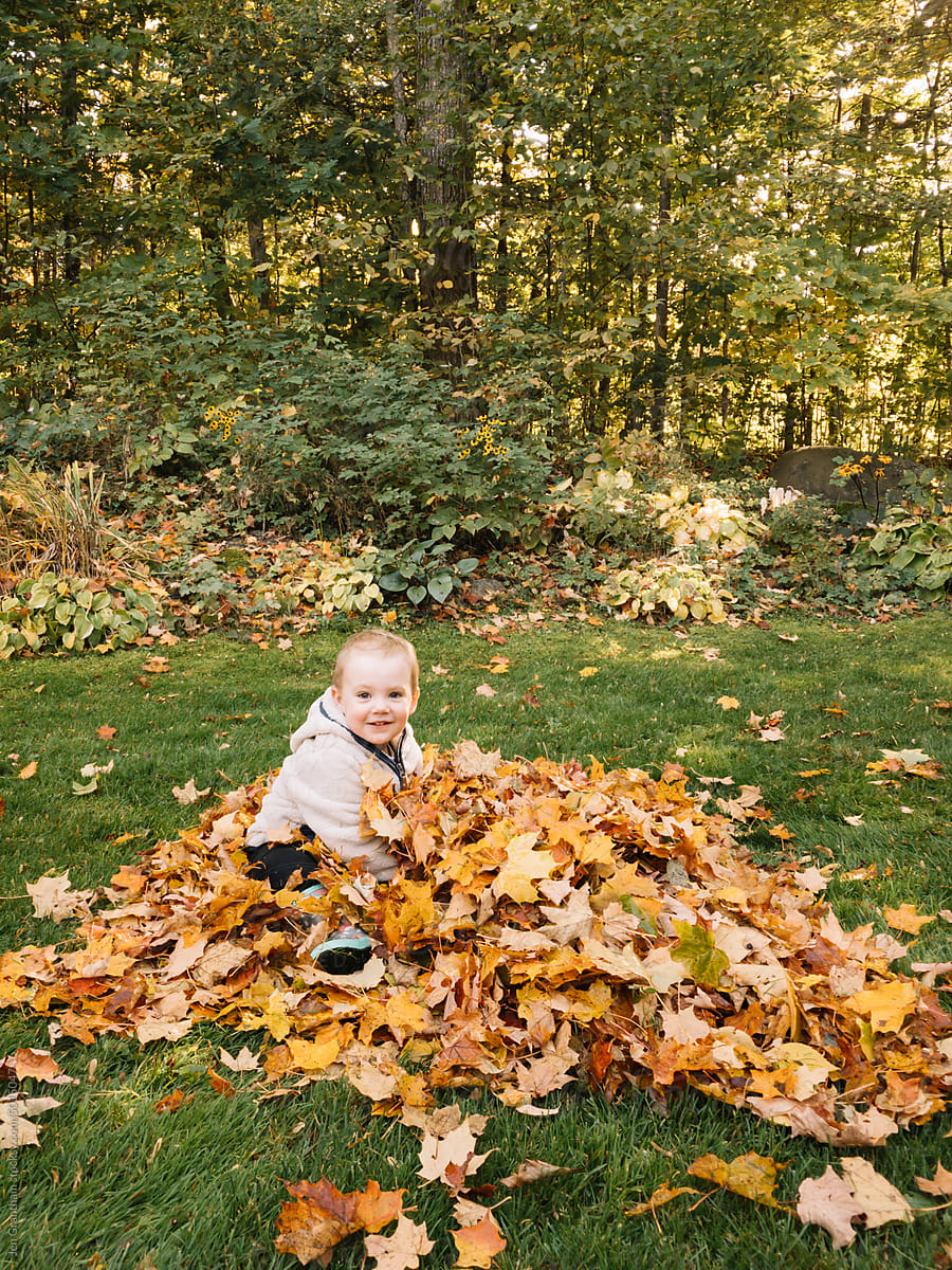 Toddler looking at camera in leaf pile