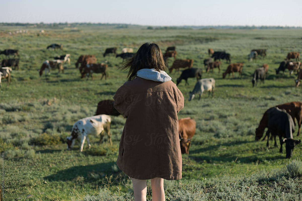 girl on the background of cows in the field