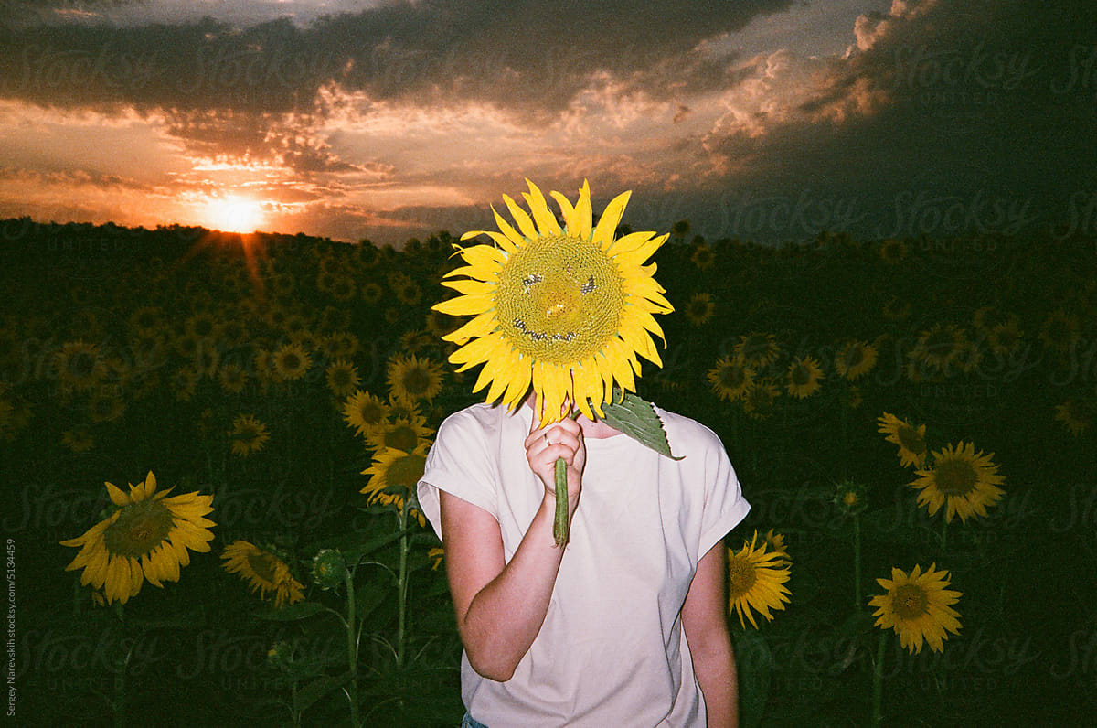 Person covering face with sunflower, film ugc