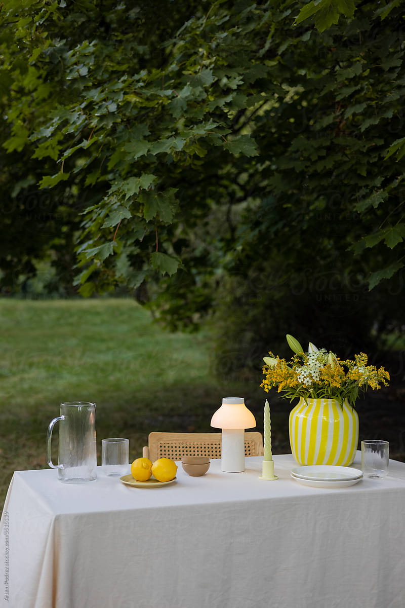 Table in the park for outdoor picnic with stylish tableware and decor.