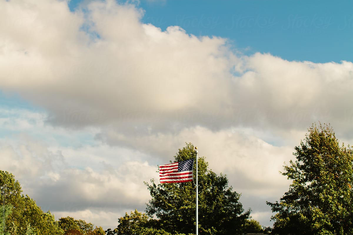 american flag set against trees and sky