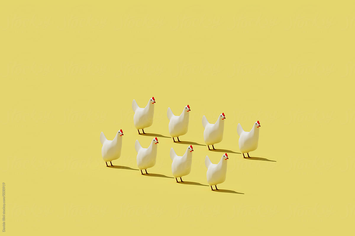 Chicken 3d pattern. Farming cartoon style illustration.