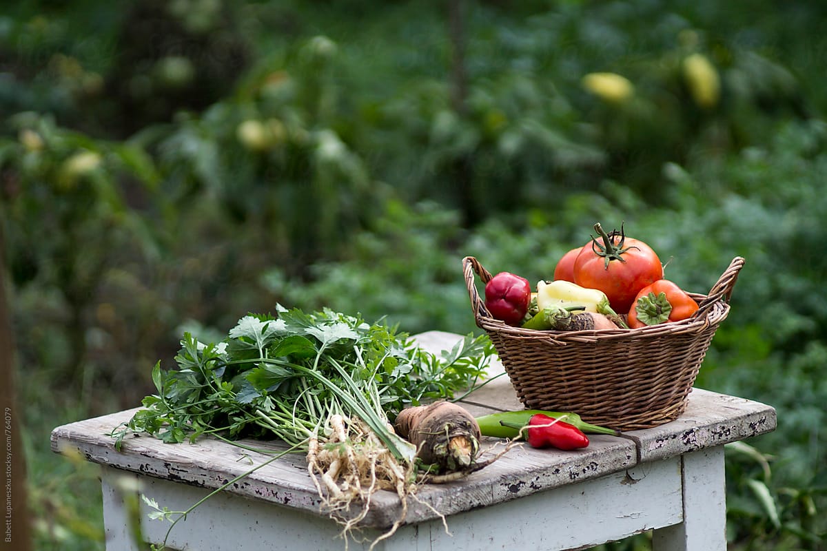 Fall vegetables in a basket