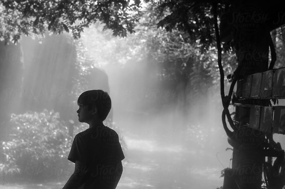 Boy in Mist