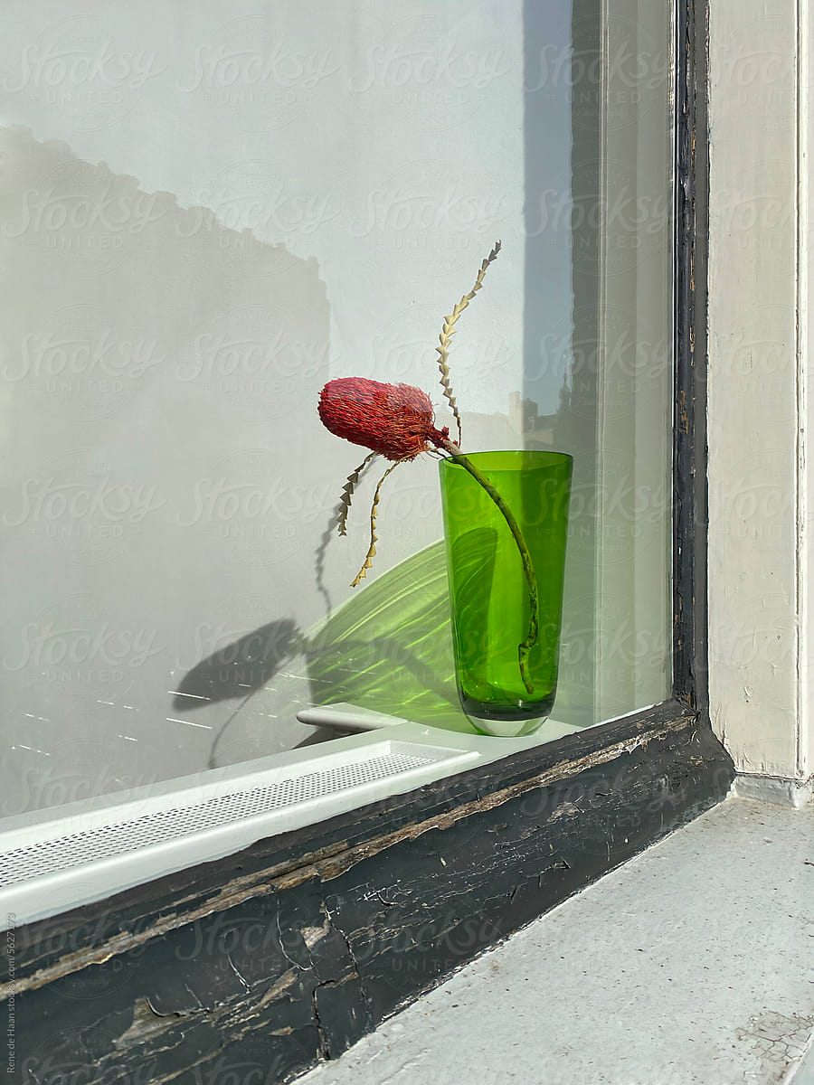 vase with flower behind window
