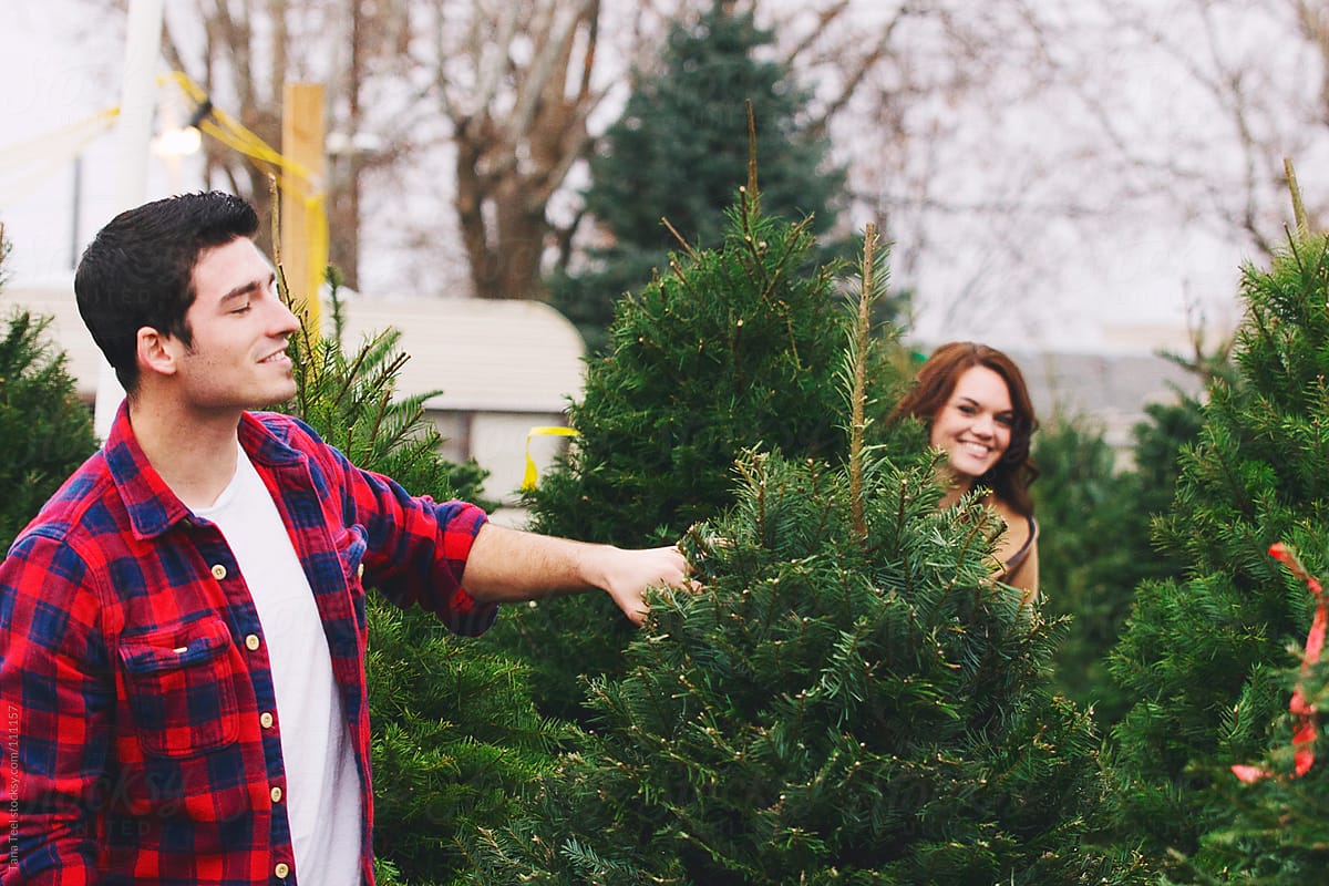 A young couple search for a Christmas tree together