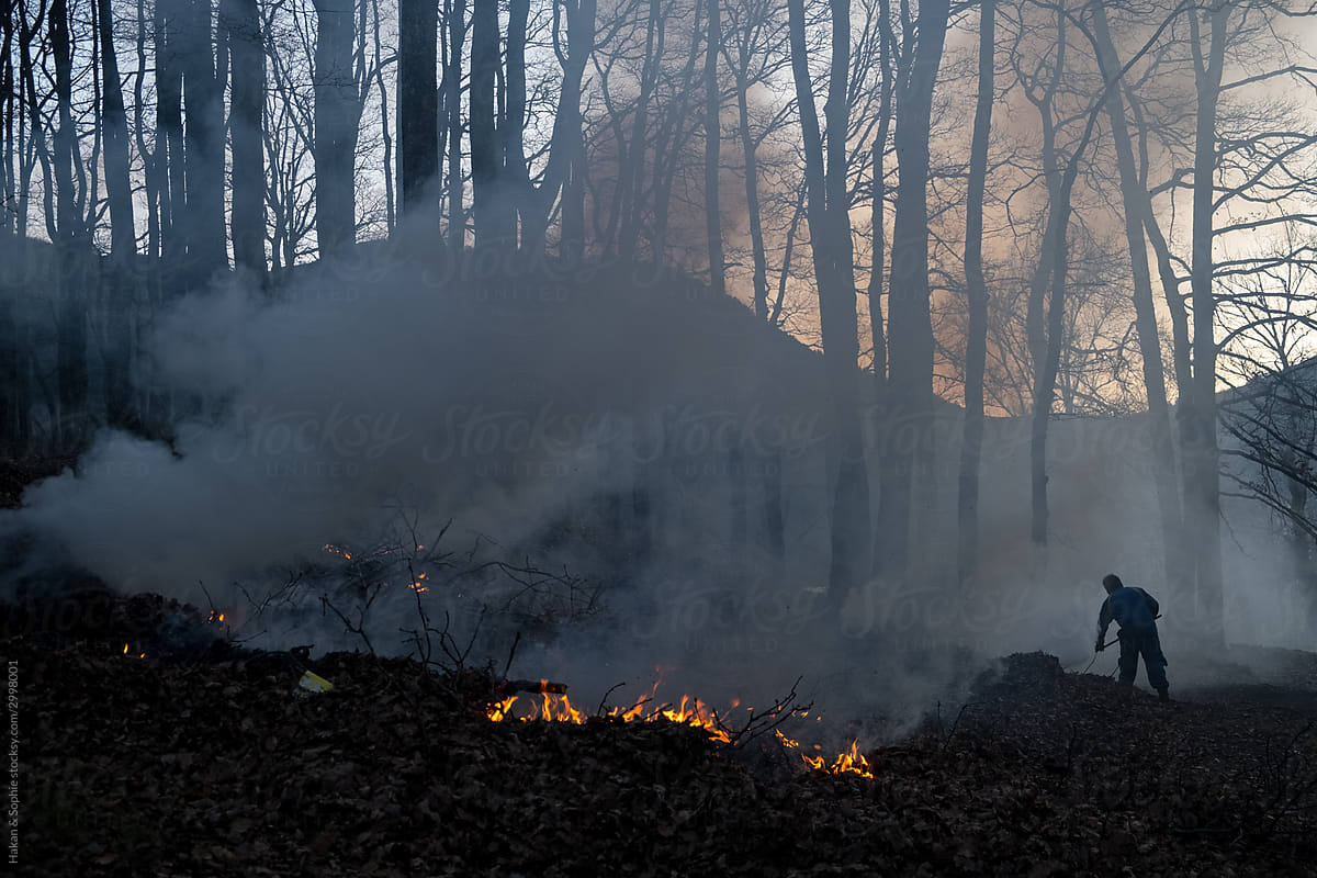 a man tends a controlled forest fire