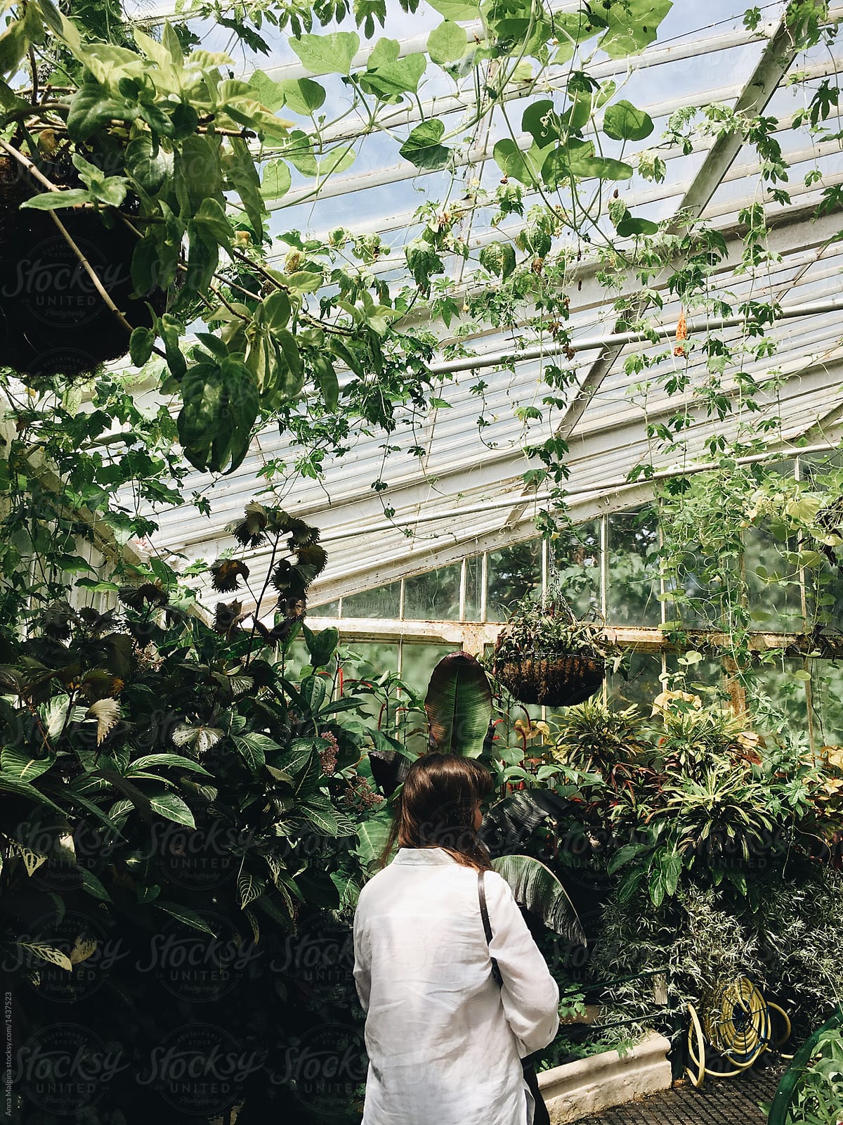 A woman in white walking in a greenhouse