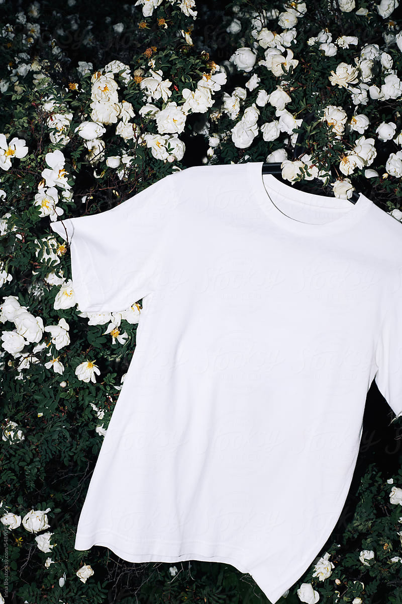 white t-shirt hanging on a rose bush