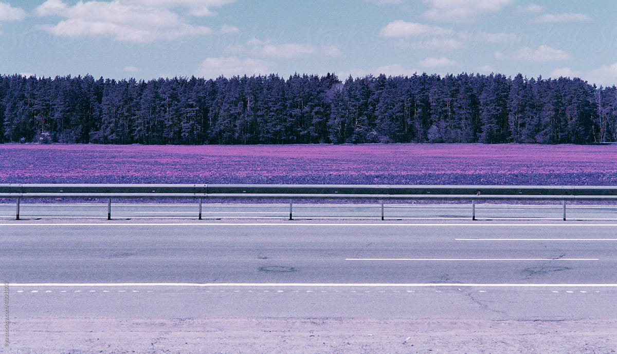 Infrared nature violet unreal spring road travel