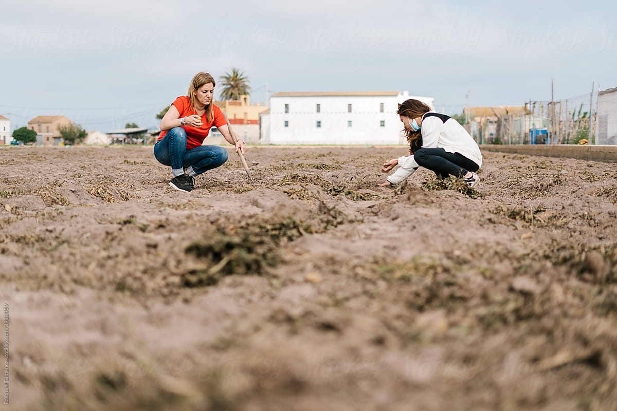 Focused women digging soil in countryside
