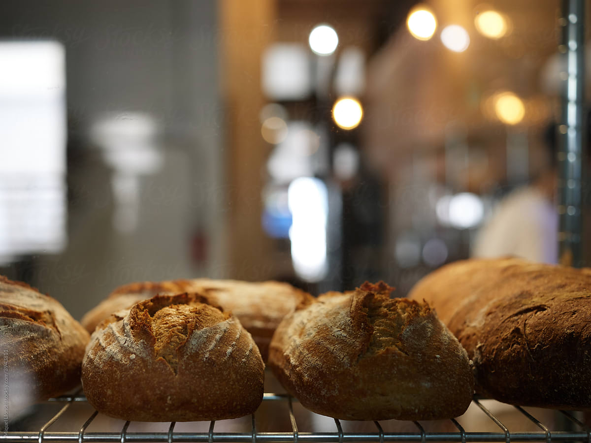 Bread loafs on bakery tray