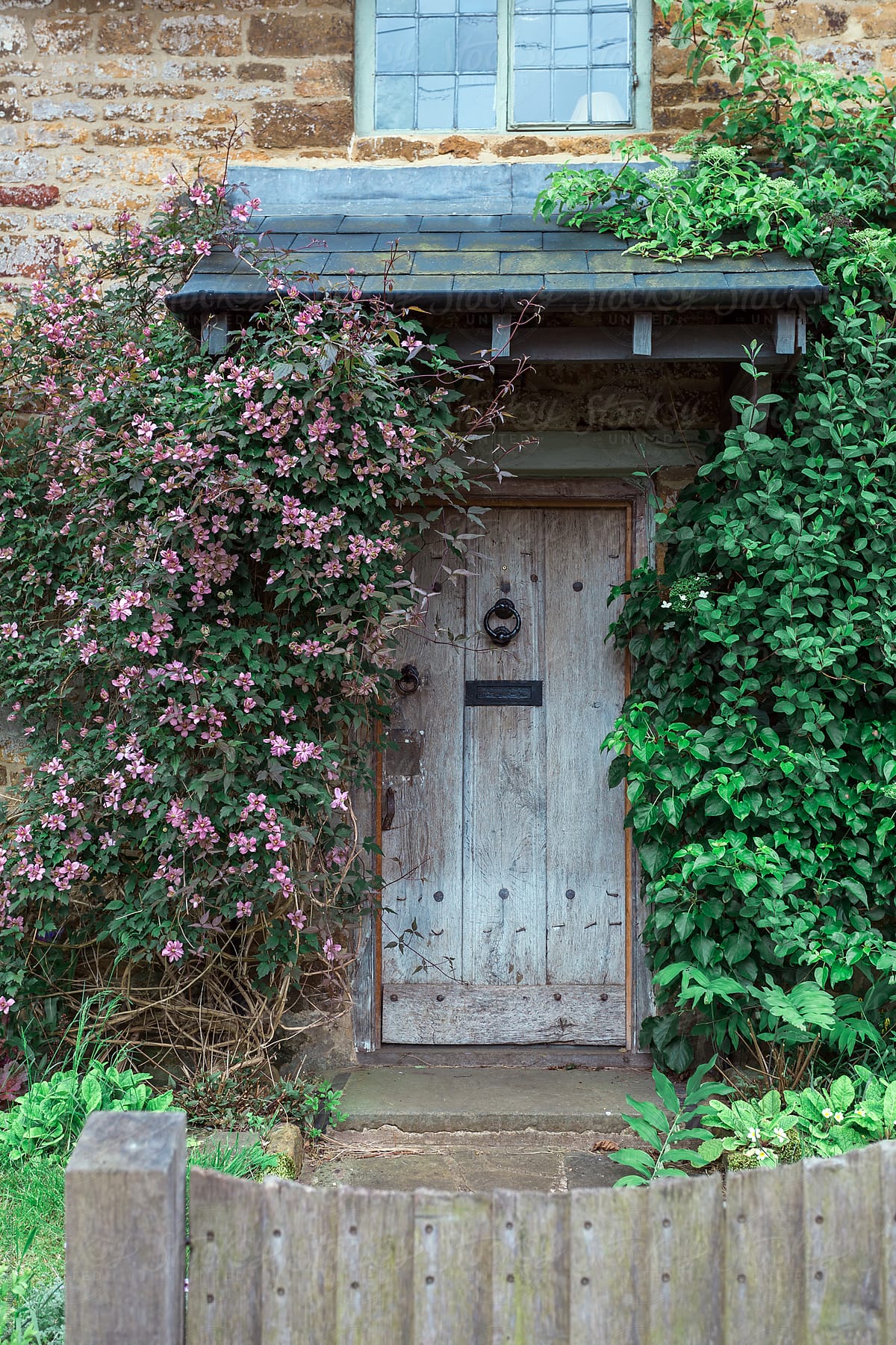 Entrance to an old cottage house with plants growing around the front door.