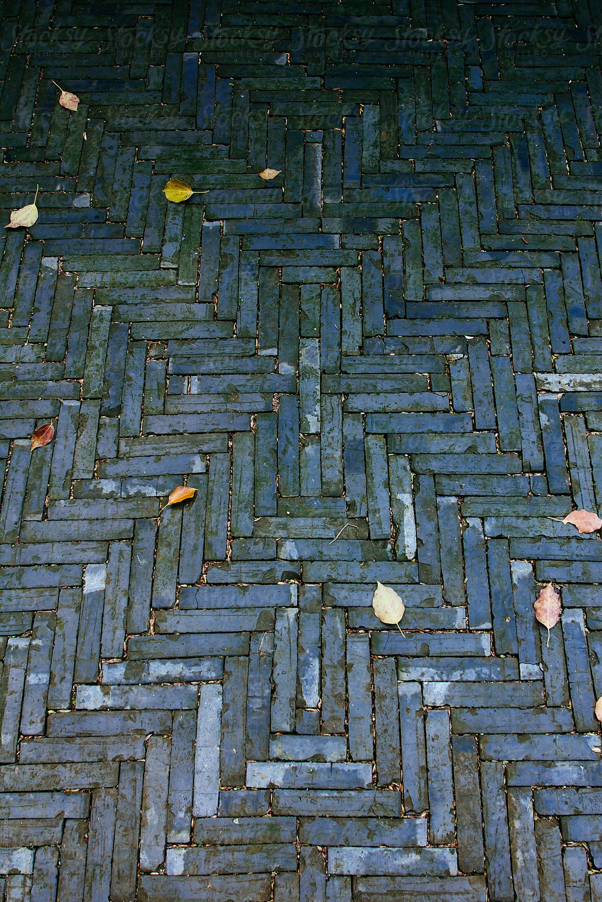 floor in Suzhou traditional garden