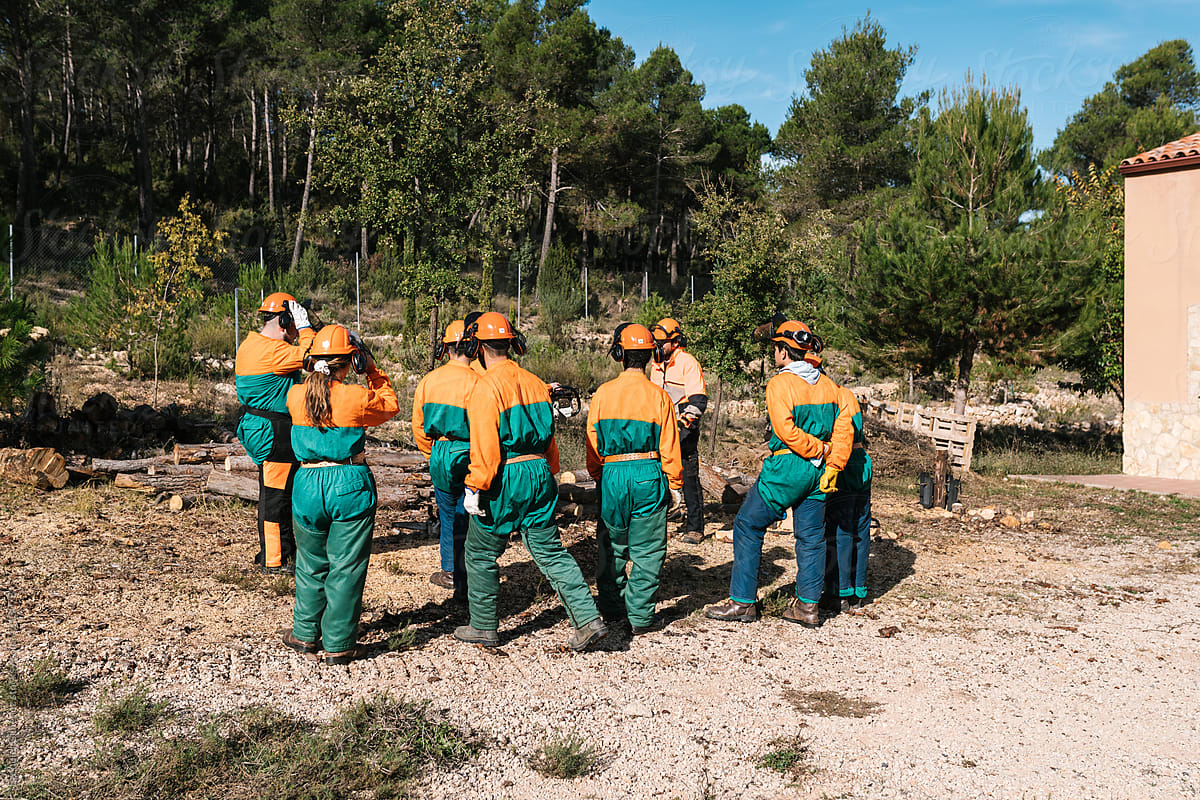 Group of woodcutters preparing for work