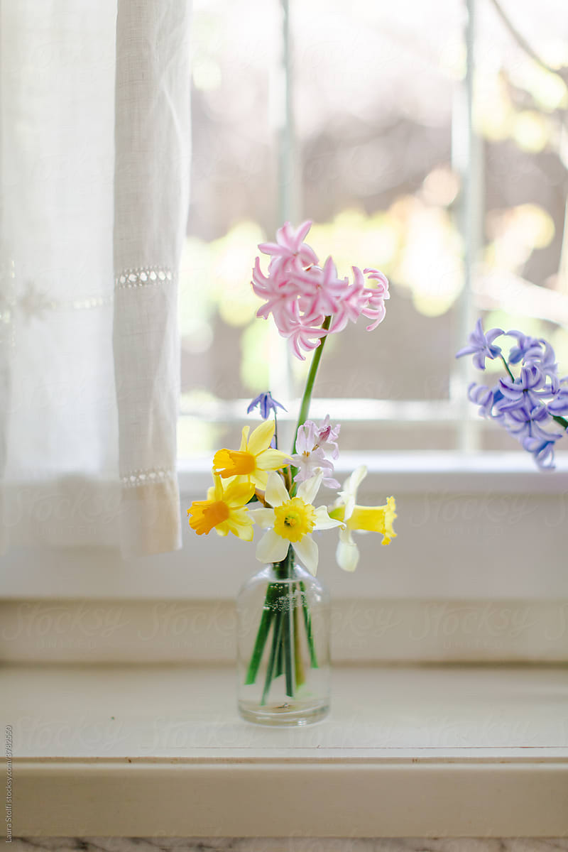 Spring flowering bulbs in glass bottle