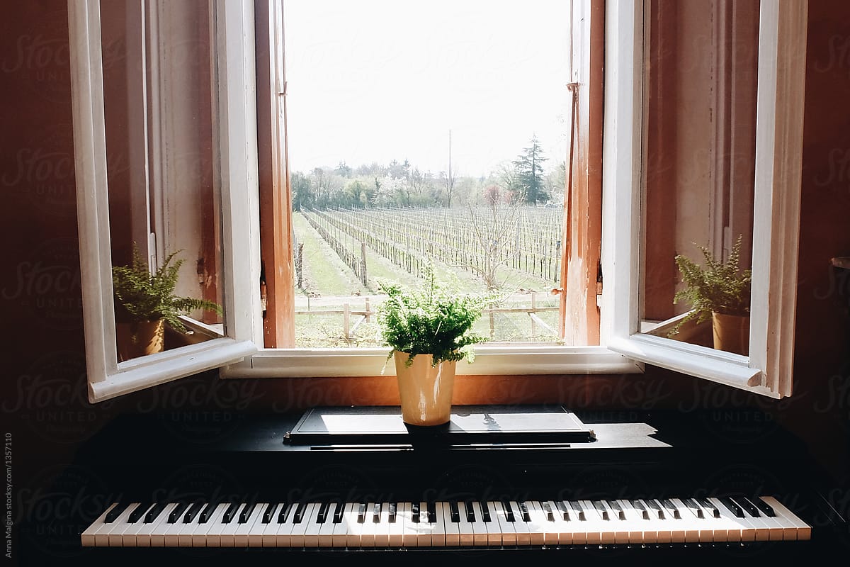 A piano and a vineyard