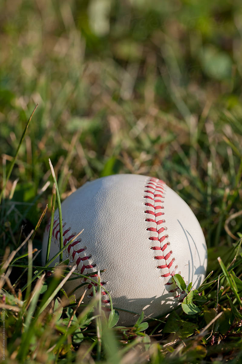 Baseball Closeup in Field of Grass