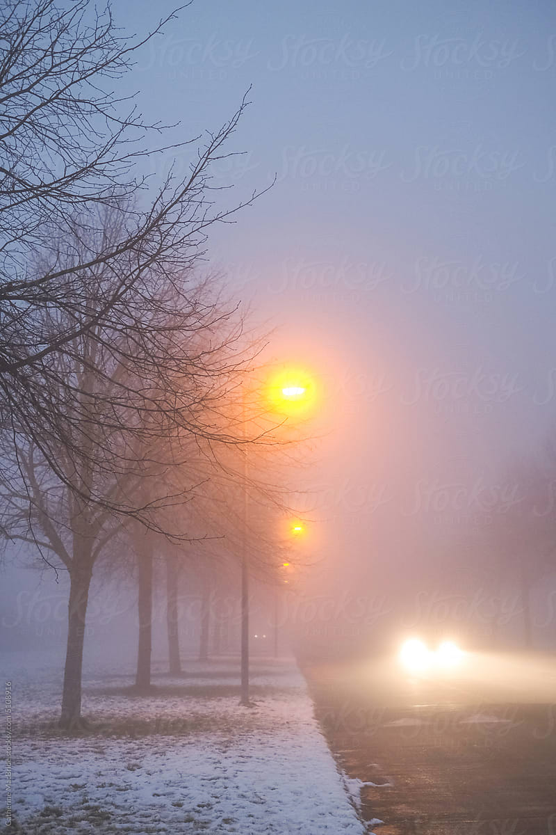 A row of trees in freezing fog with a cars headlights