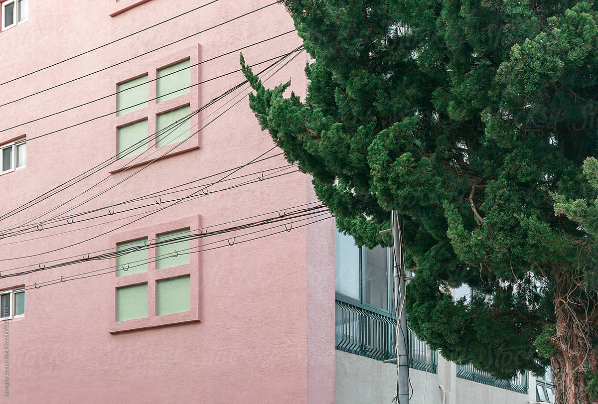 Pink building wall seen behind trees.