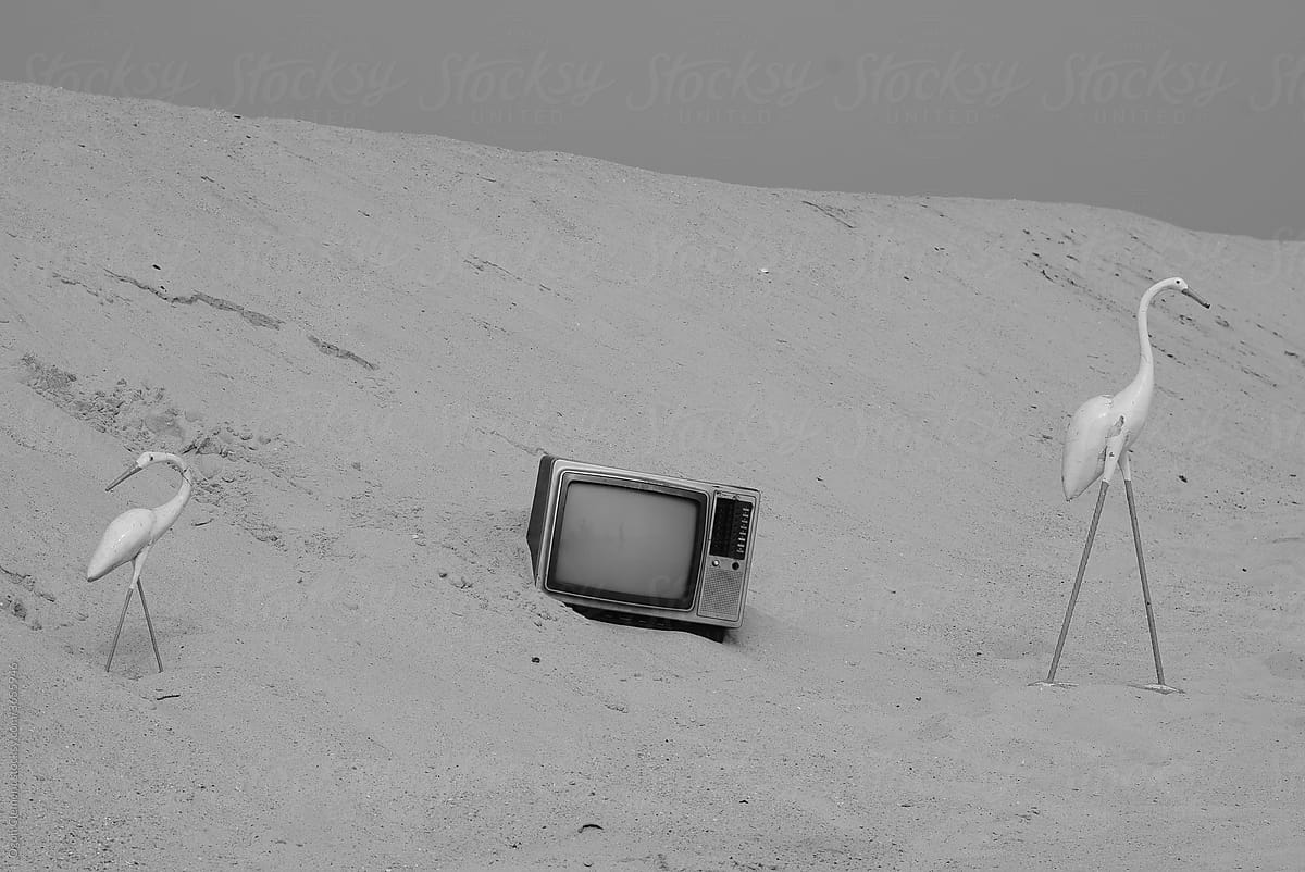 Television on the sand beach with Flamingos Statue