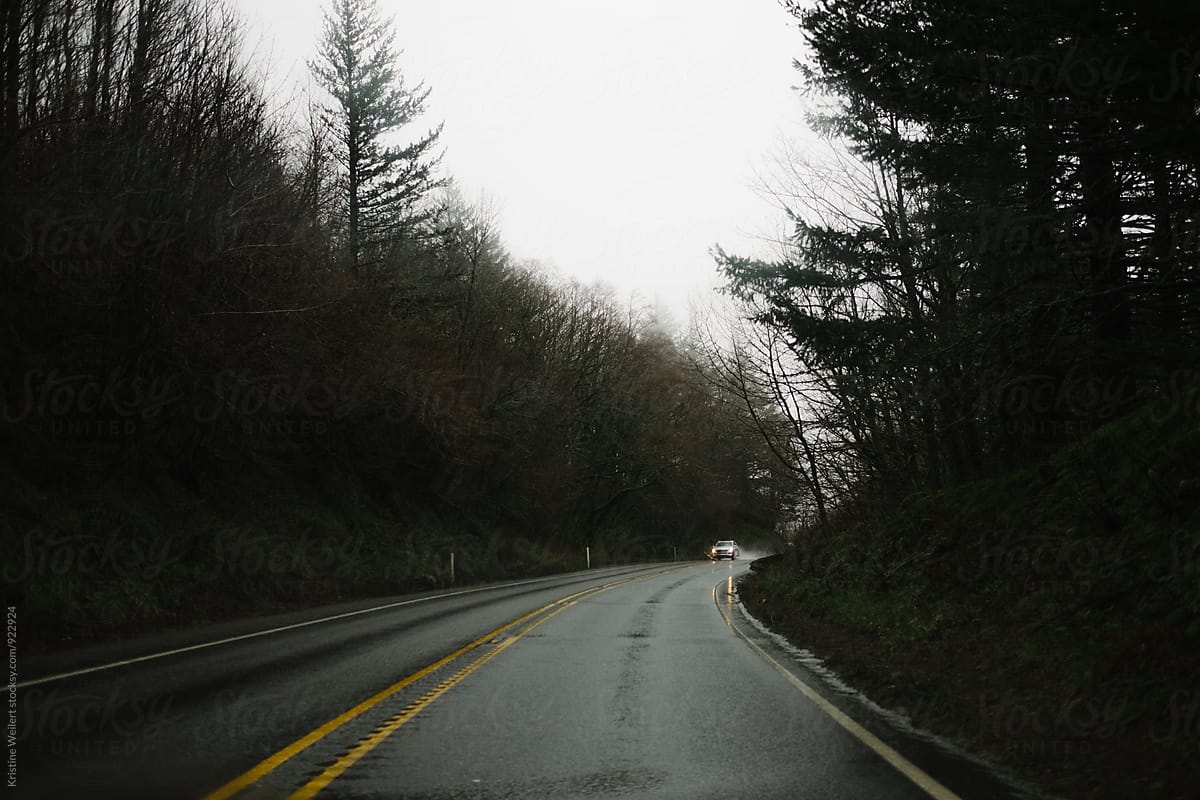 Rainy Wet Road Surrounded by Trees