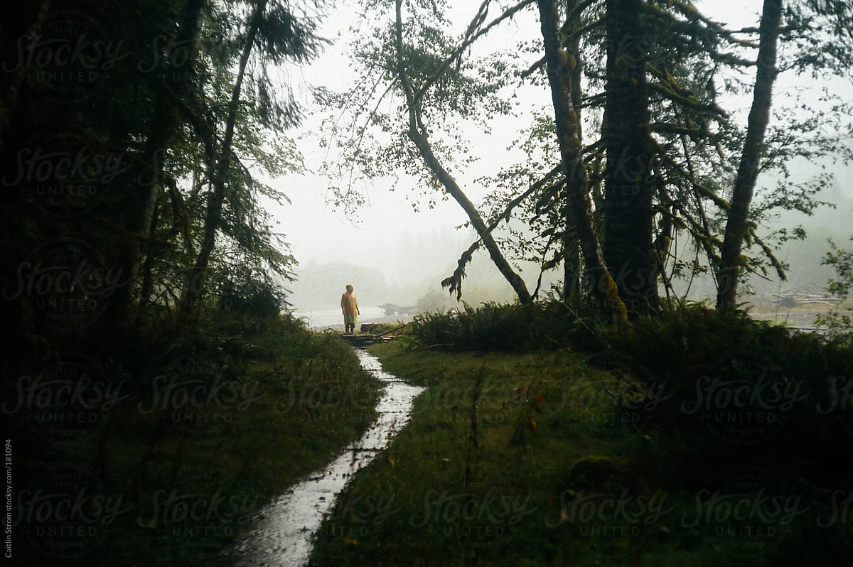 Man stands under giant trees in the rain