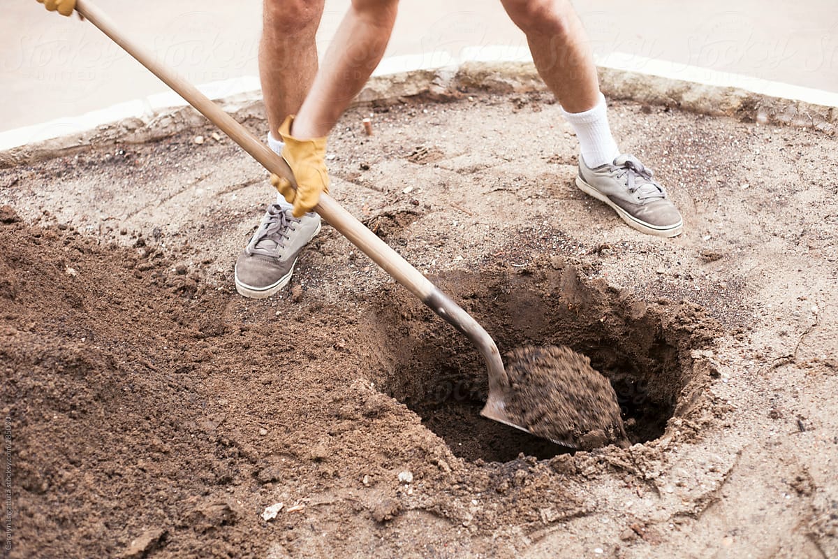 Man digging a hole and planting a new tree in his yard