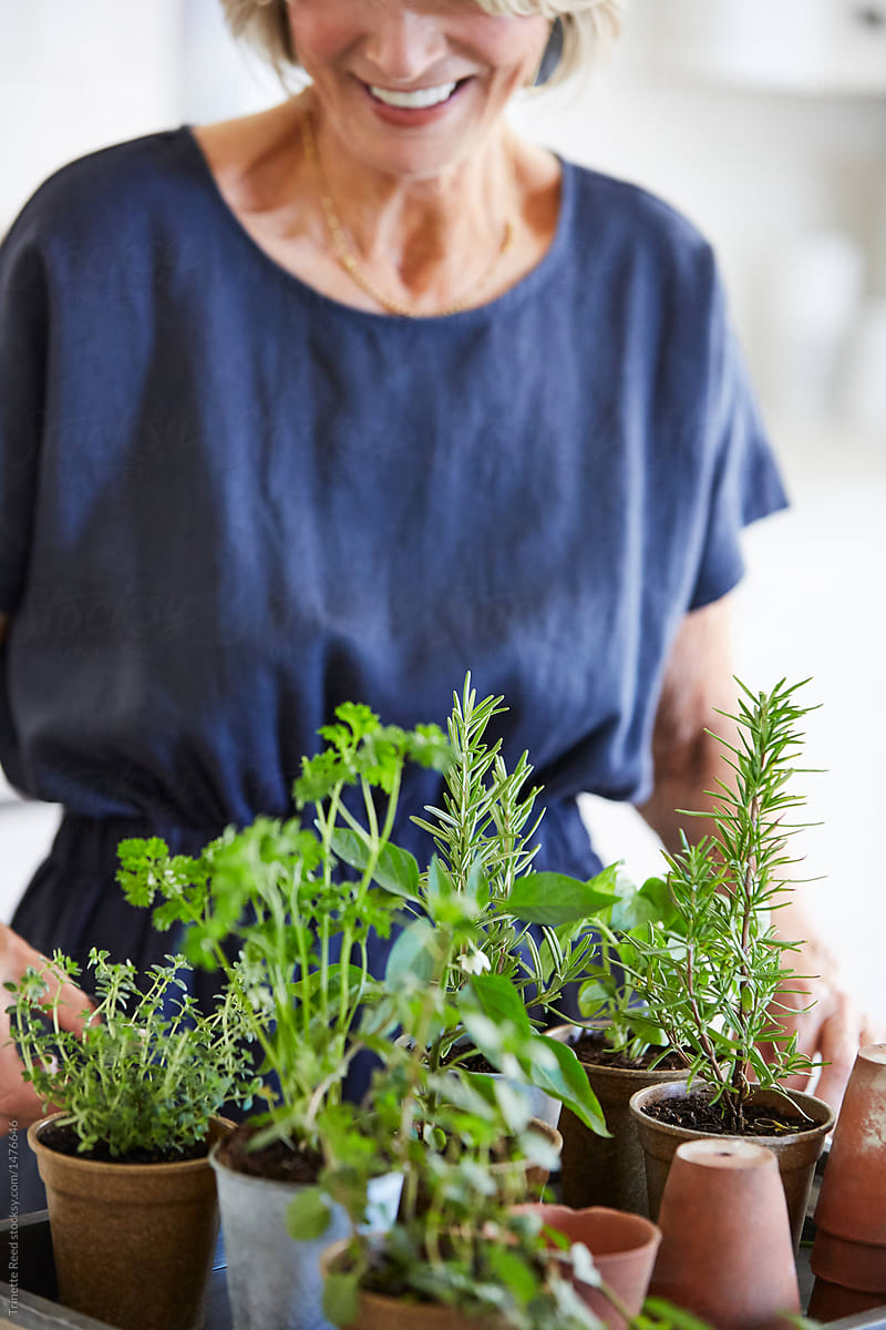 Senior Caucasian woman in the kitchen with fresh herbs she is growing