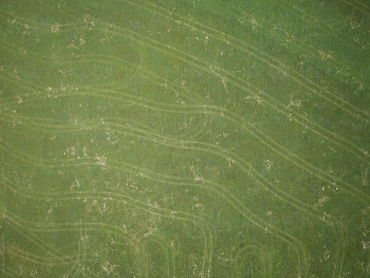 Abstract lines on green land