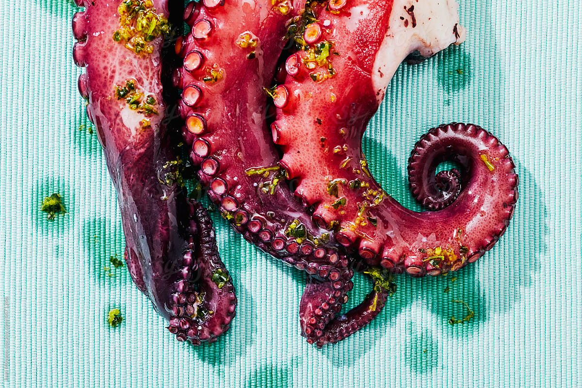 cooked octopus arms with garlic and parsley