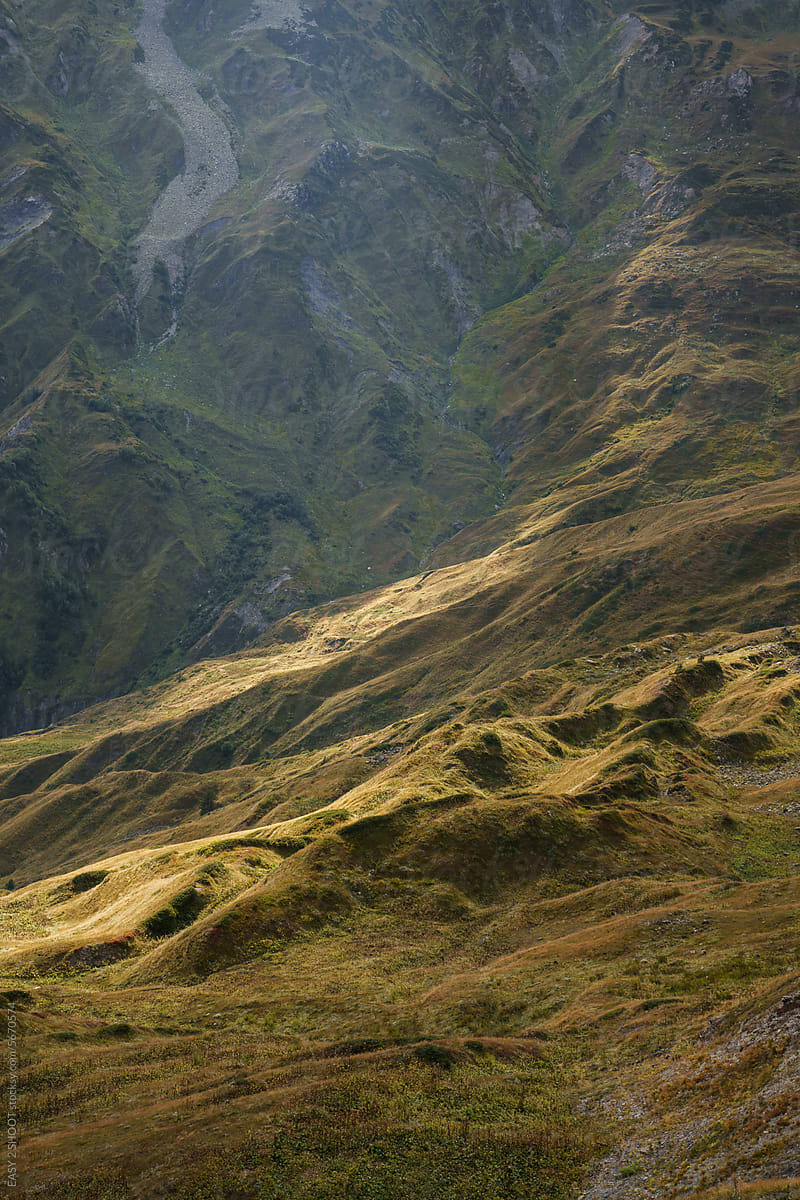 Tranquil Highland Landscape: Valley of Wilderness