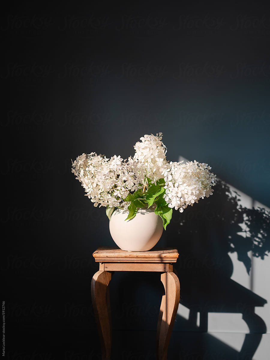 White hydrangeas arrangement in a dark room