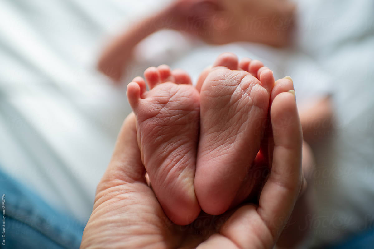 Mother\'s Hands Hold Newborn Baby Feet