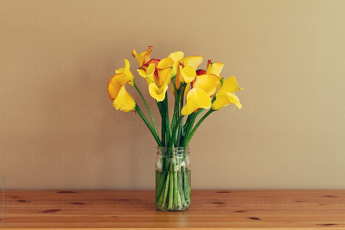 Yellow calla lilies in glass jar on wooden table
