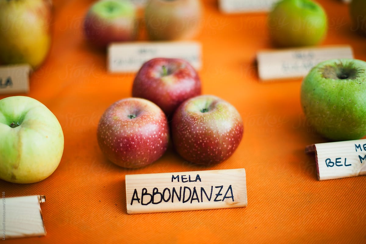 Rare cultivars of apples at botanical show in Italy