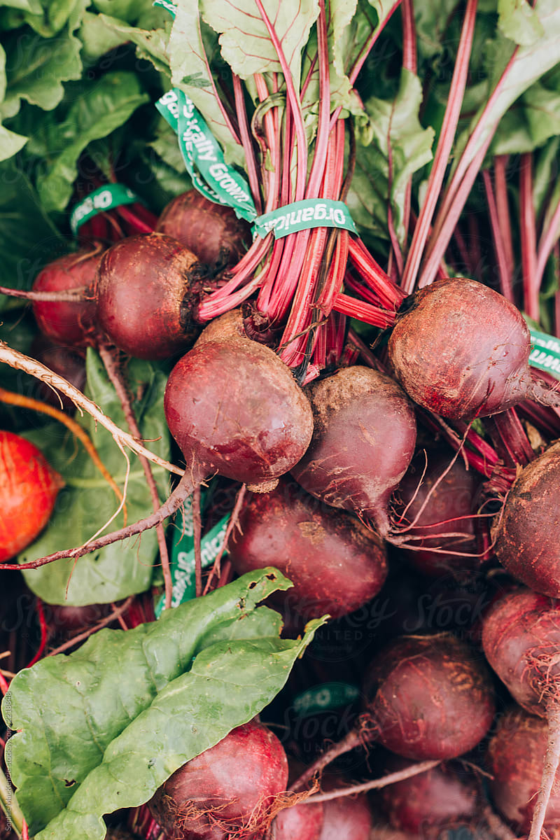Beets at the farmers market