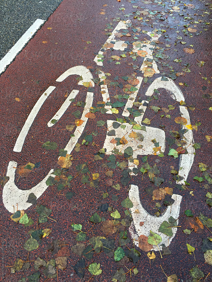 wet bicycle lane with autumn leaves