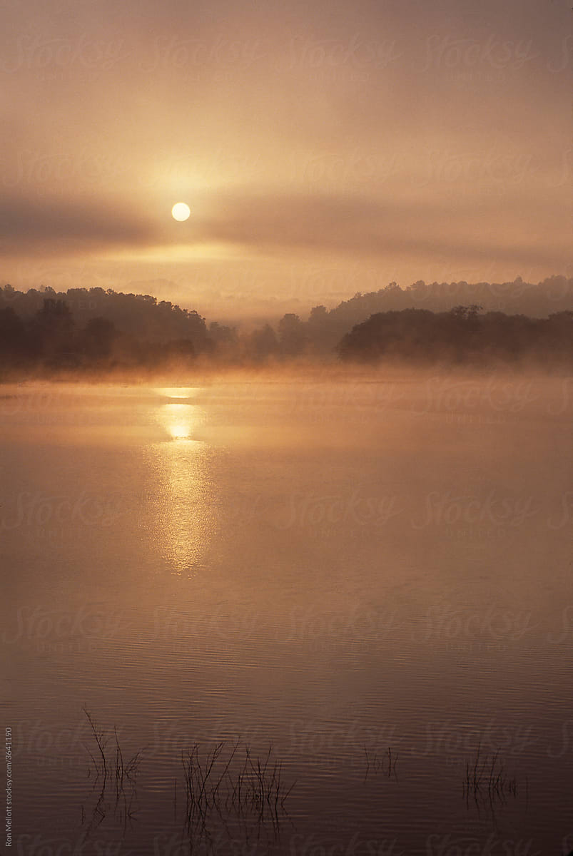 Nottley Lake Sunrise in Fog V