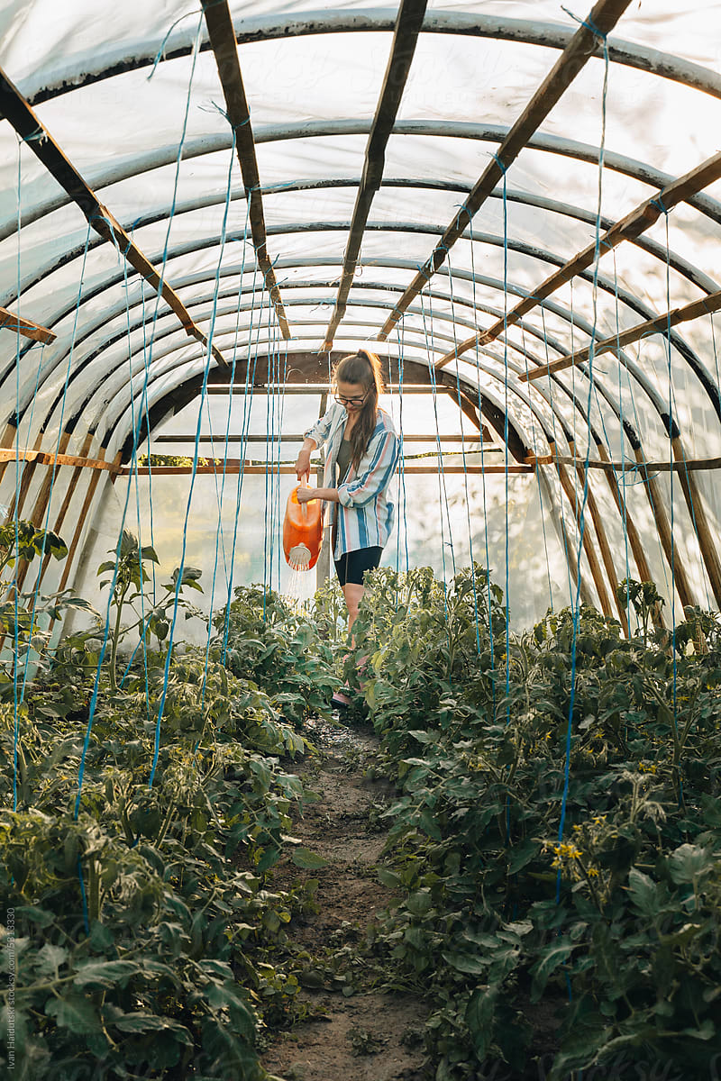Millennial woman working in backyard greenhouse watering vegetables
