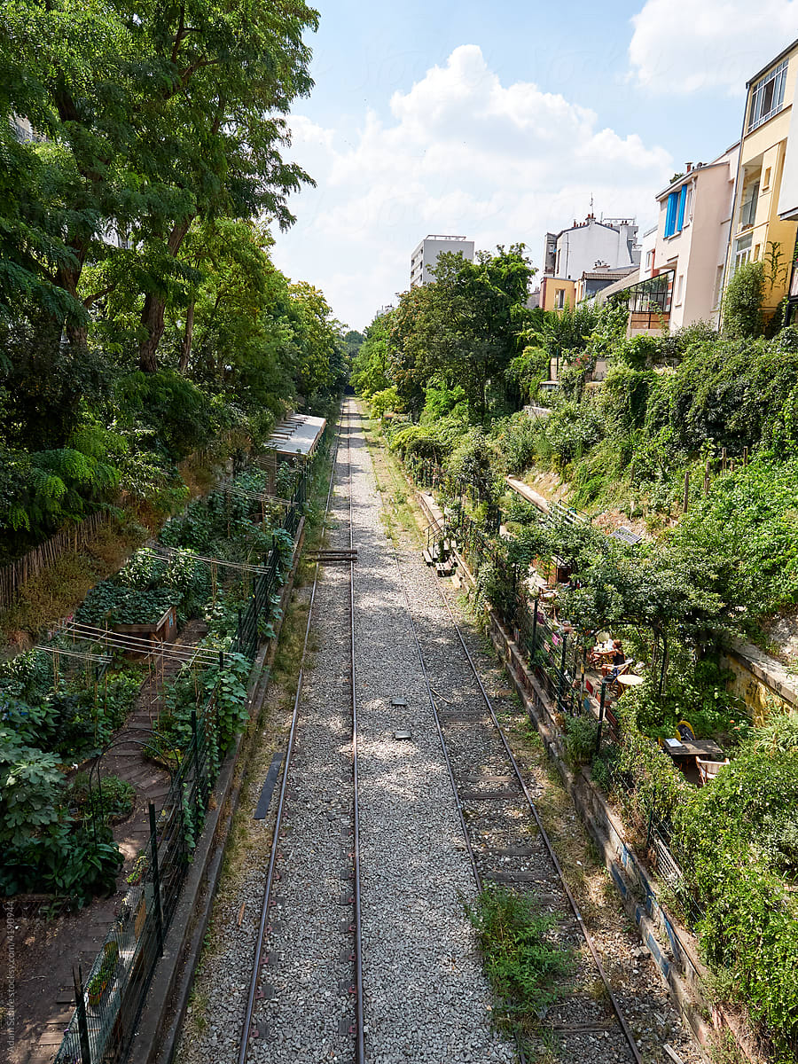 Urban gardening on disused train tracks, Paris, France