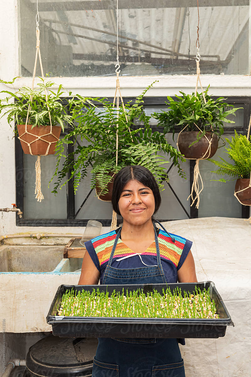 A happy woman holding a tray of peas microgreens sprouts