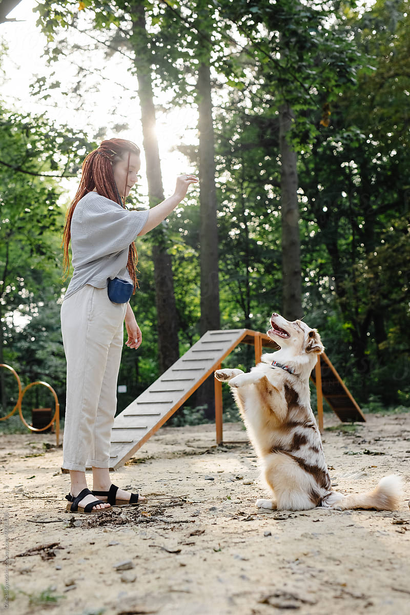 Girl training her dog on playground