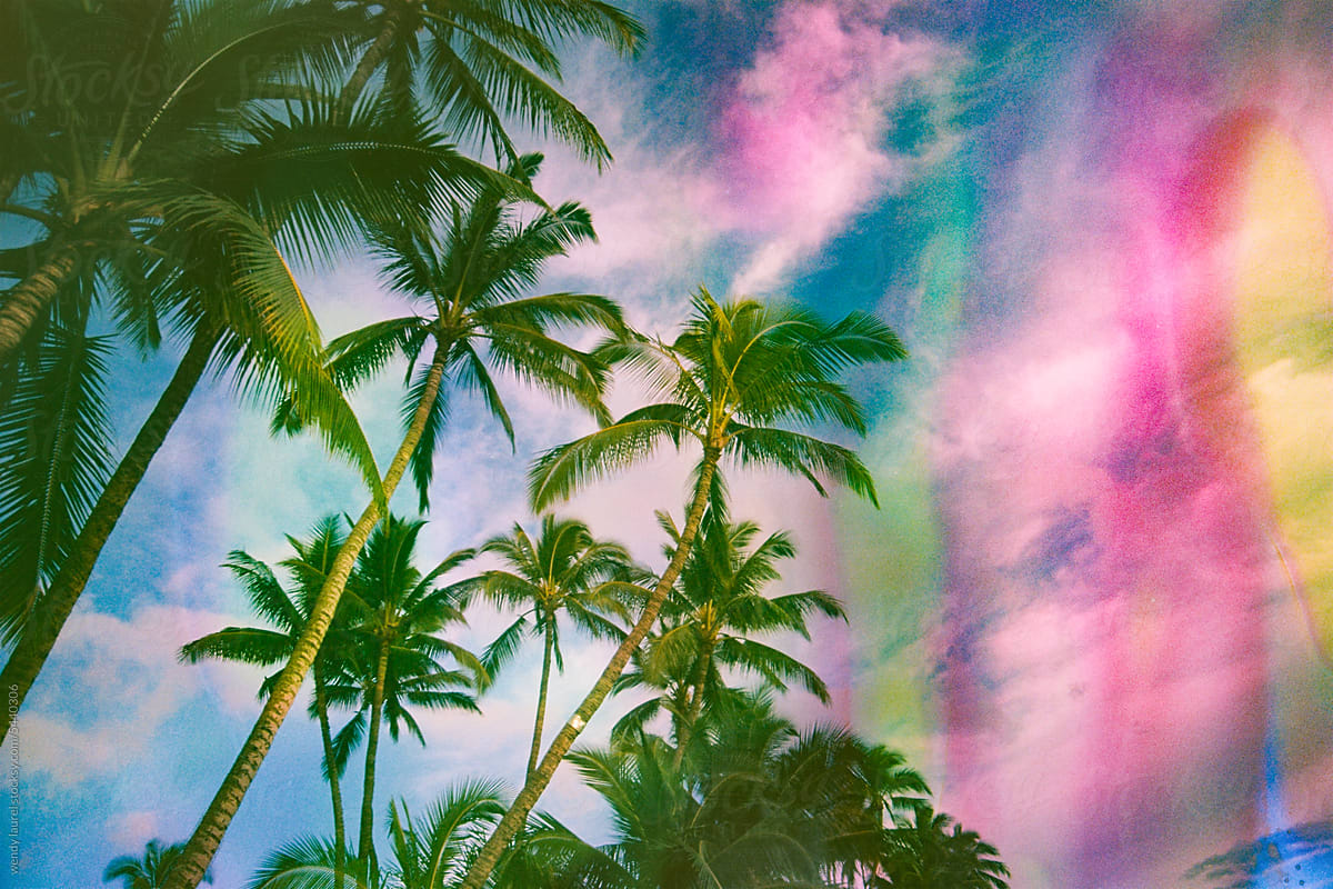 colorful maui scenery with brightly colored palm trees