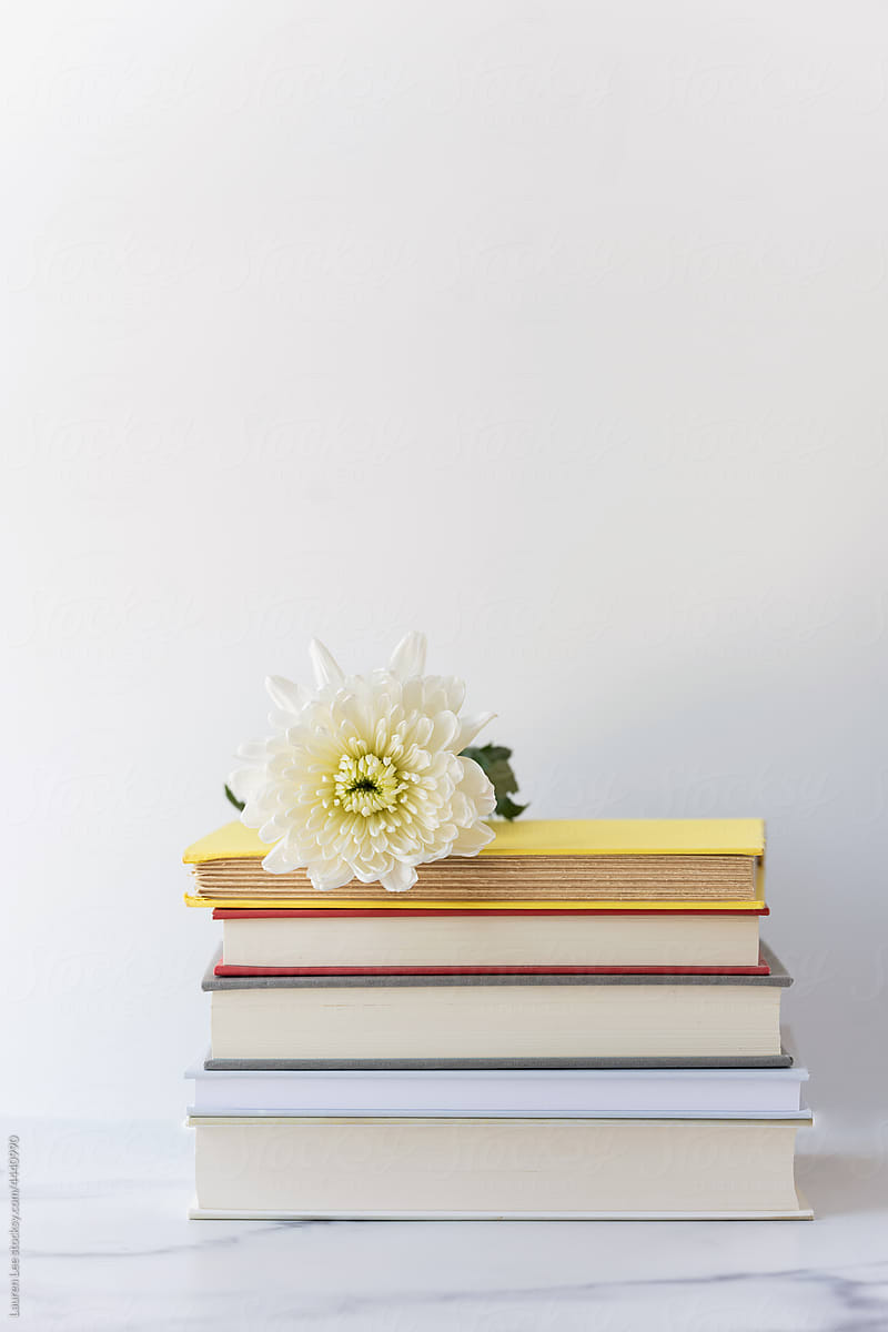 Stack of colorful books with flower