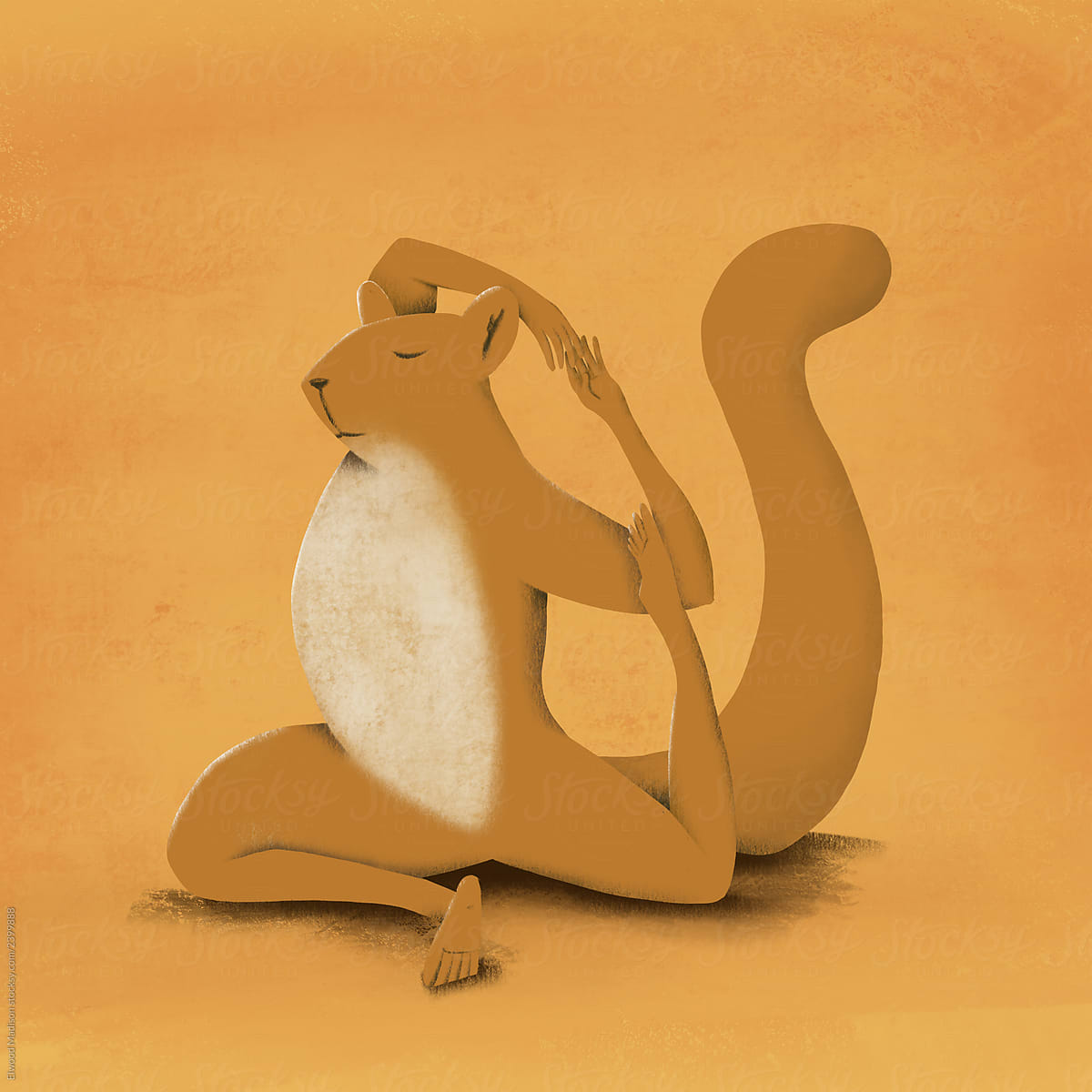 Yoga Squirrel