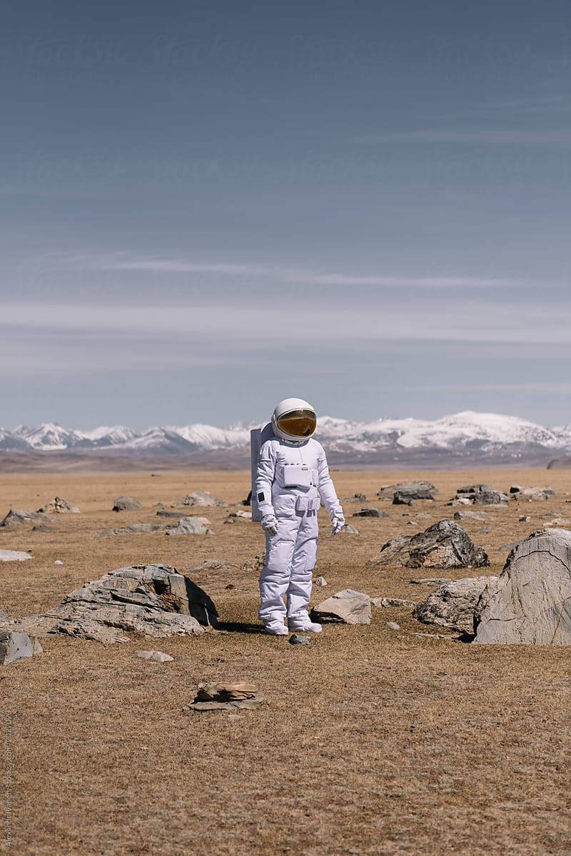 Person in cosmonaut costume standing on valley with stones